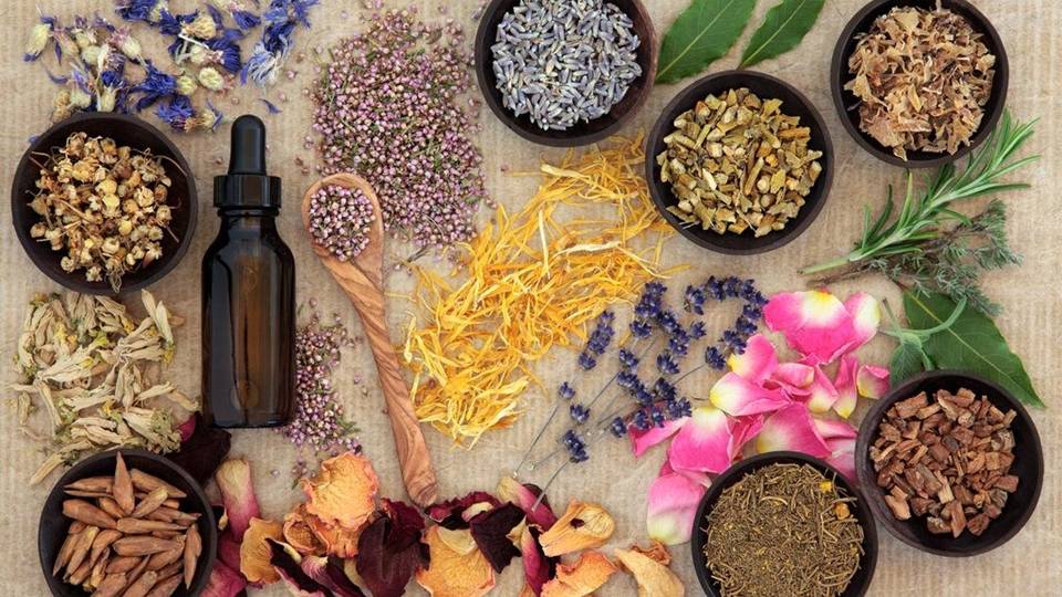 6 Ayurvedic herbs to protect your body in winter