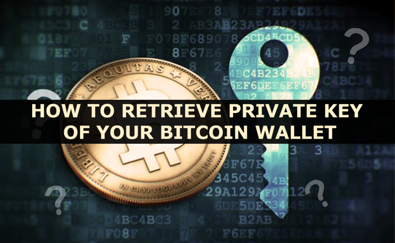 Retrieve The Private Key Of Your Bitcoin Wallet | Guide On Private Keys