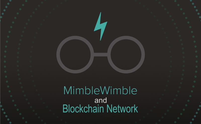 MimbleWimble And Blockchain Networks | Analyzing Impacts
