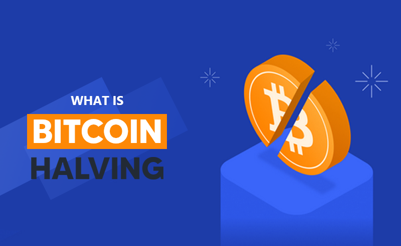 What is Bitcoin Halving 2020 | Everything You Should Know About It