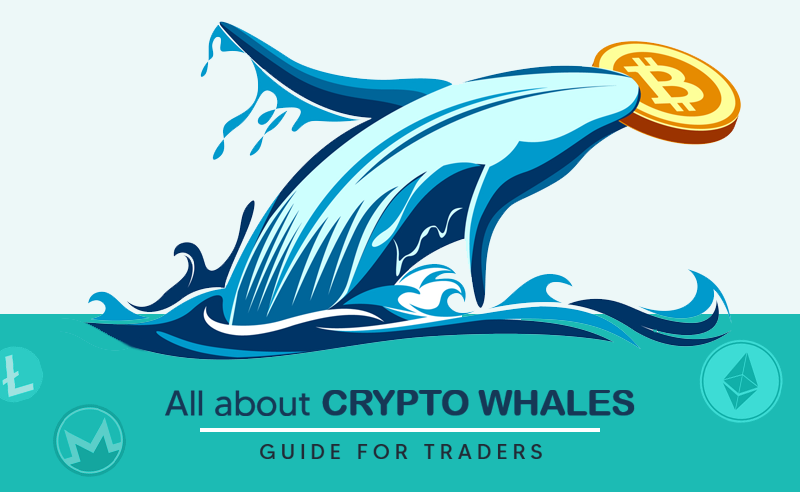 All About Bitcoin Whale | Eye Opening Guide To Crypto Traders