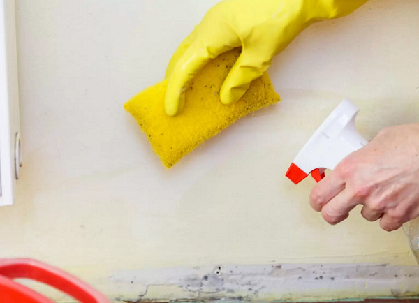 7 Convenient Methods For Home Mold Inspection