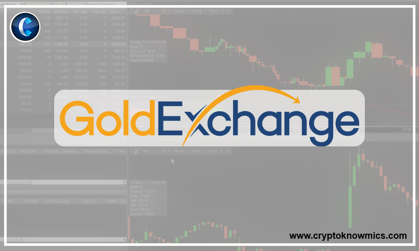 Goldexchange Review – A Dedicated Stablecoin Trading Platform