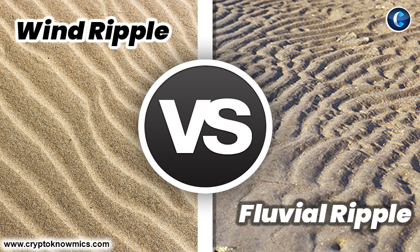 Wind Ripple vs Fluvial Ripple: Everything You Need to Know
