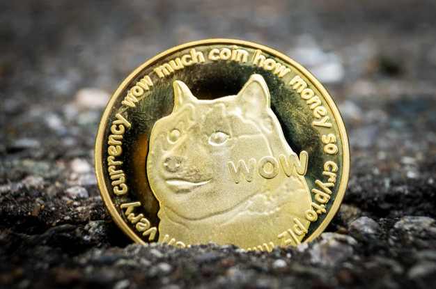 Everything You Need to Know About Dogecoin!