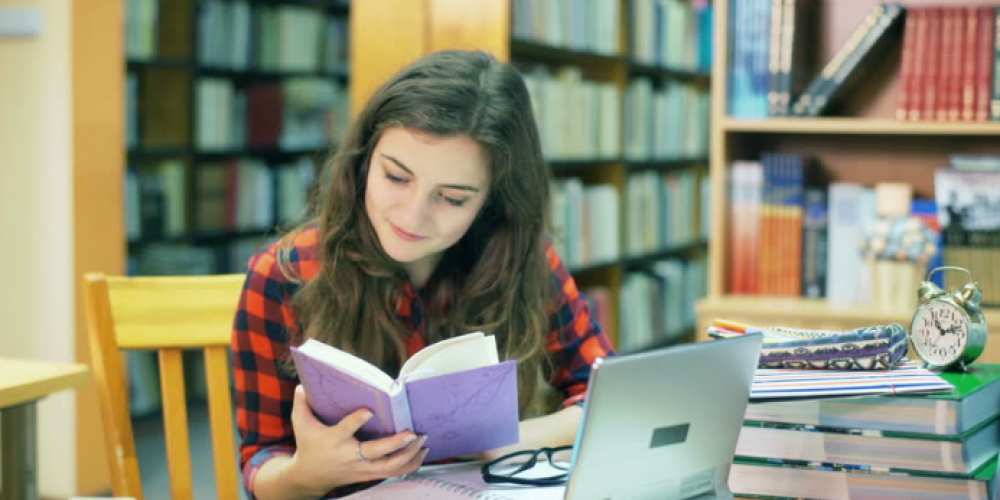 How to Write a Dissertation Introduction Step By Step