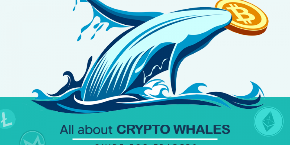 All About Bitcoin Whale | Eye Opening Guide To Crypto Traders