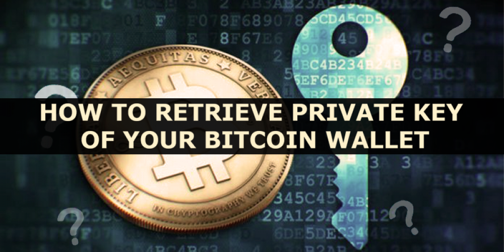 Retrieve The Private Key Of Your Bitcoin Wallet | Guide On Private Keys