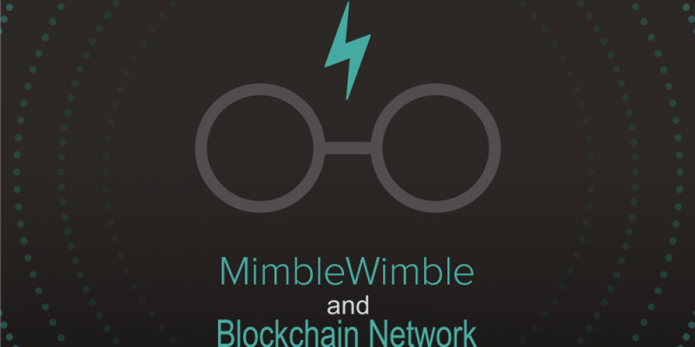 MimbleWimble And Blockchain Networks | Analyzing Impacts