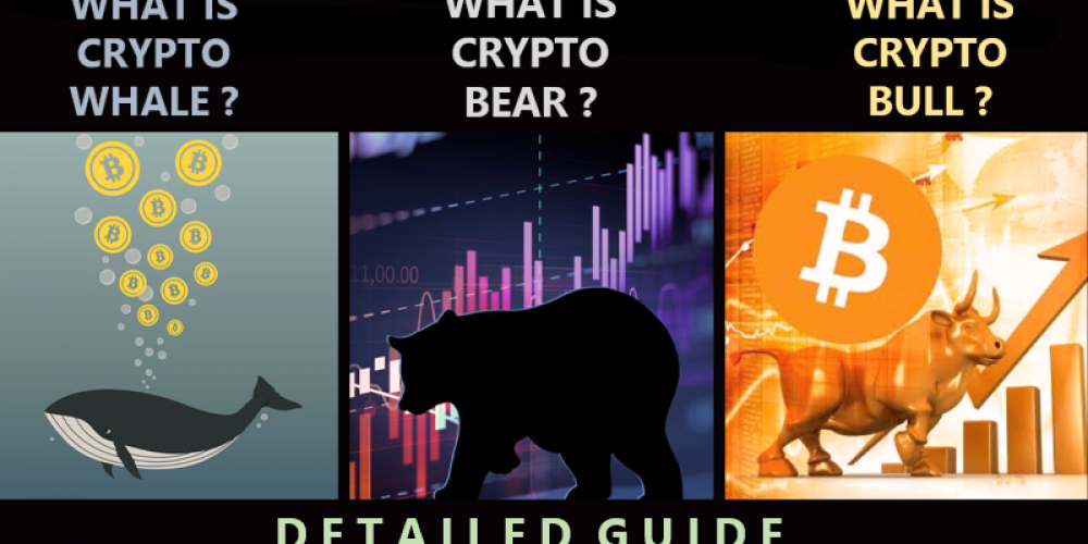 Difference Between Crypto Bull, Crypto Bear and Crypto Whale