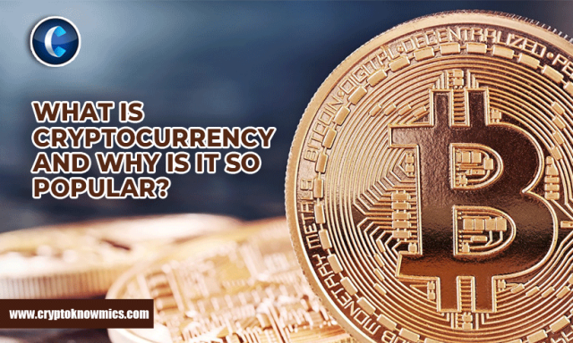 What is Cryptocurrency and why is it so Popular?