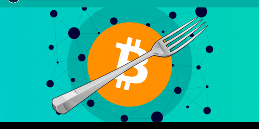 Can A Hard Fork Affect Cryptocurrency Price?