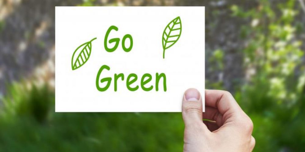 What are the Top Tips to Stay Green after Earth Day?